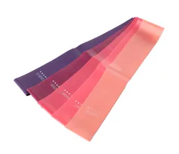 Přechodov&aacute; odporov&aacute; smyčka