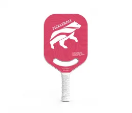 Jednod&iacute;ln&aacute; raketa z uhl&iacute;kov&yacute;ch vl&aacute;ken