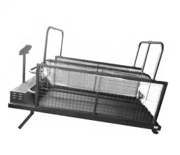 Nejlep&scaron;&iacute; běžeck&yacute; p&aacute;s pro psy