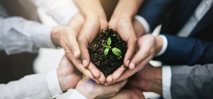 Obnovitelné zdroje energie